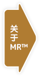 关于MR™
