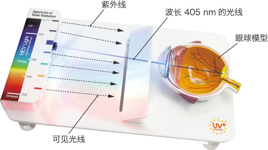 照片:UV+420cut演示道具